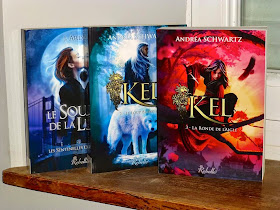 romans et livres de fantasy pour adultes et jeunes adultes