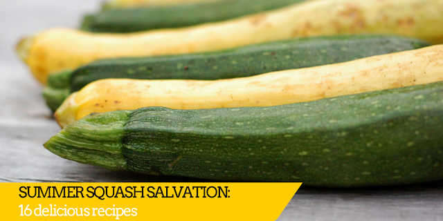 Summer squash overload? These recipes will be your salvation!