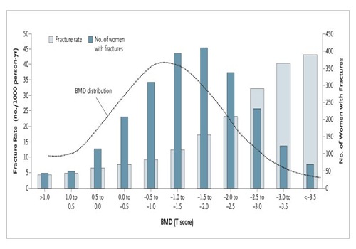 # 13 BMD Distribution and fracture rate