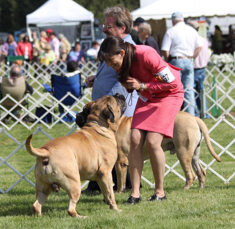 Bucks County Kennel Club Dog Show