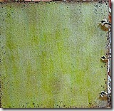 K-Back cover of Album