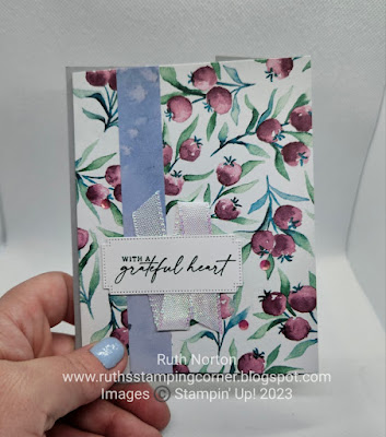 stampin up, winter meadow dsp