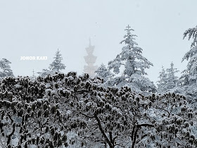 Mount Emei Shan & Golden Buddha - Sichuan's Sacred Mountain in Winter 峨眉山
