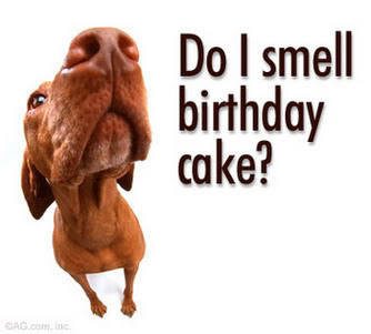 Doggie Birthday Cake on Today Is My Birthday  As I Climbed Into My Mid 40 S All I Can Say Is