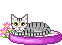 Gif de gatinho