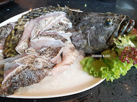 Kofuku-Tei 幸福窝 Steamboat Grouper Fish