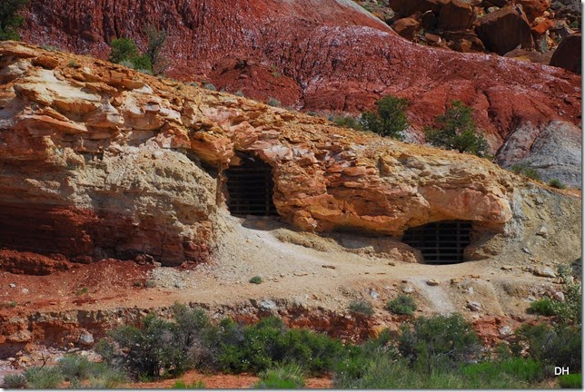 05-22-14 Capital Reef NP (22)