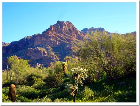 Lost Gold Canyon Trail