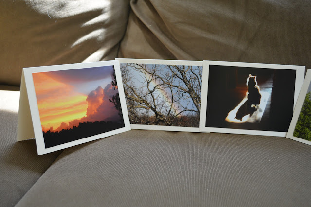 Skyboy Photos greeting cards