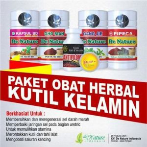 Obat Kutil Kelamin