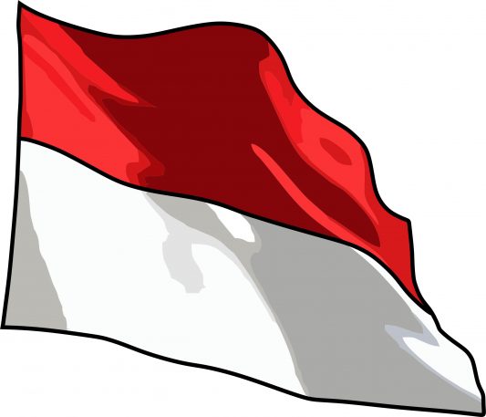 gambar bendera merah putih kartun