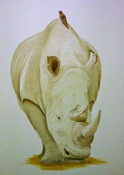 Rhinoceros in oil on canvas.  Lucy's Pet portraits for a client in Kenya