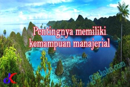 https://www.gankoko.com/2023/11/pentingnya-memiliki-kemampuan-manajerial.html