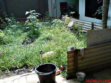the backyard in jonggol, west java, indonesia
