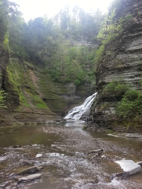 Robert H Treeman State Park