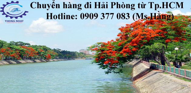 Thanh pho hoa phuong do la noi Thong Nhat tap ket hang tu HCM ra giao tan noi cho khach