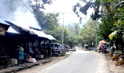 kuliner ikan asap pantai karanggomgso trenggalek