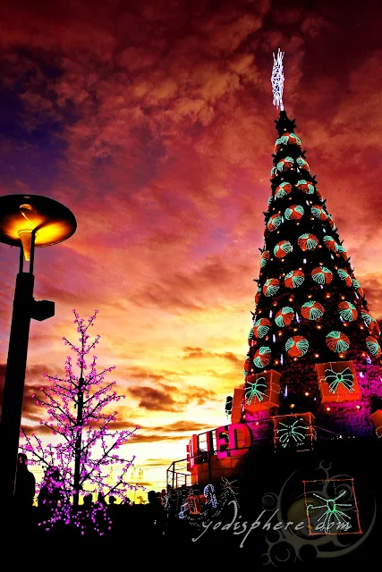 Colorful giant Christmas Tree against sunset at SM Mall of Asia, San Miguel by the Bay