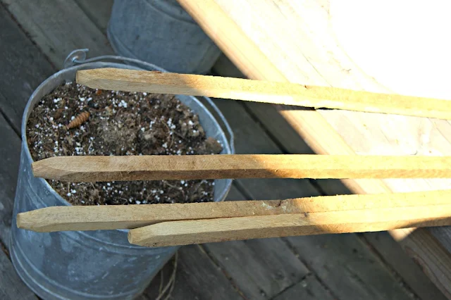 Photo of rough sawn garden stakes.