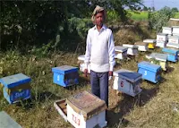 Bee Keeping india12