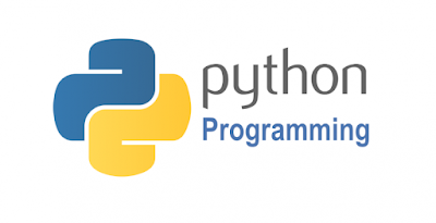 python project