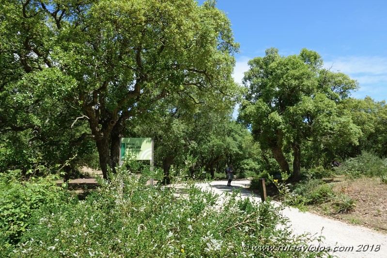 Río de la Miel - Sierra del Bujeo