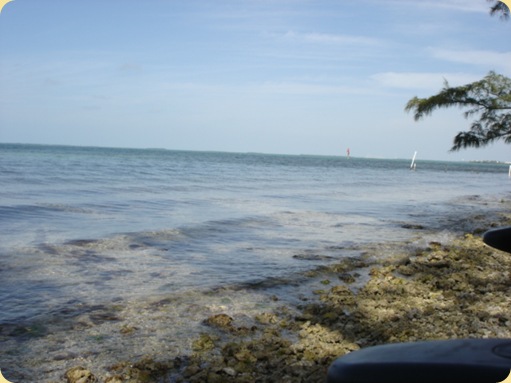 Drive Thru Florida Keys 322