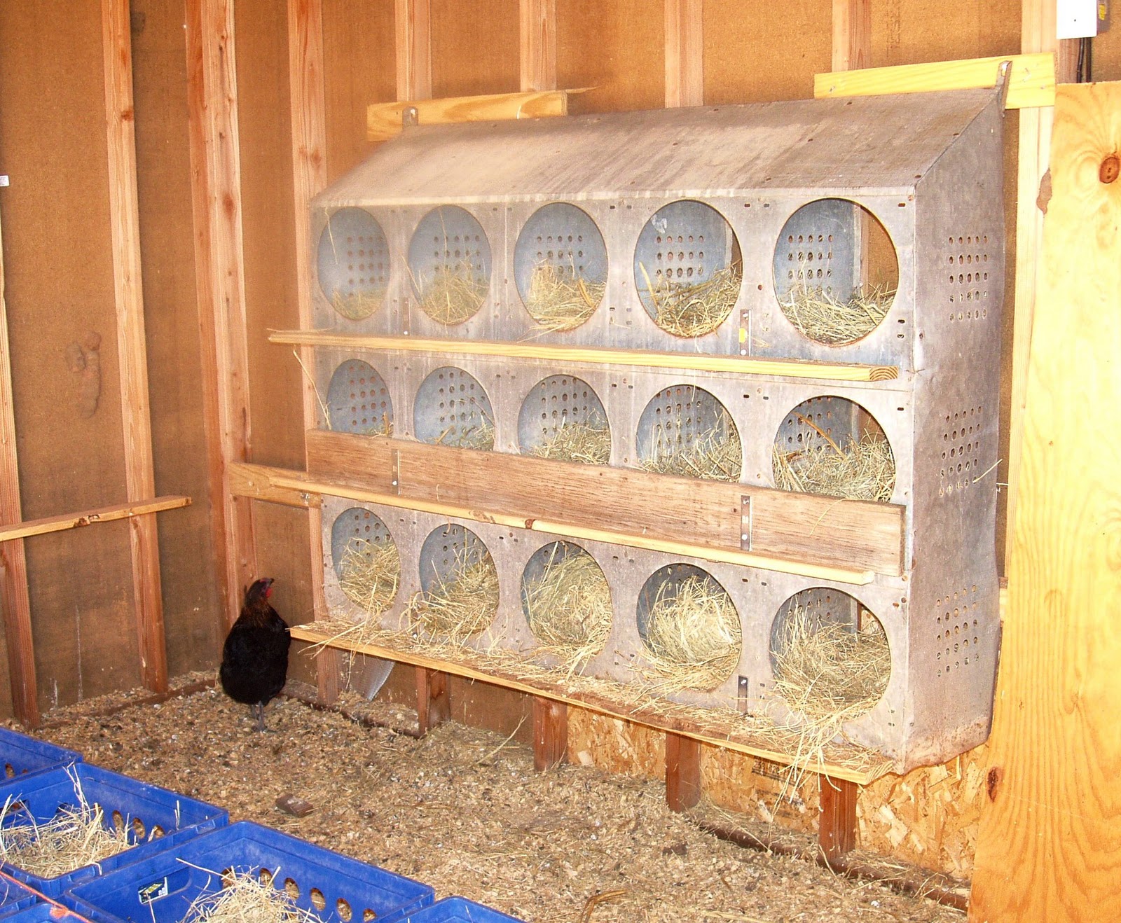 Chicken Nesting Boxes