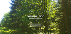 www.pasiekalapa.pl