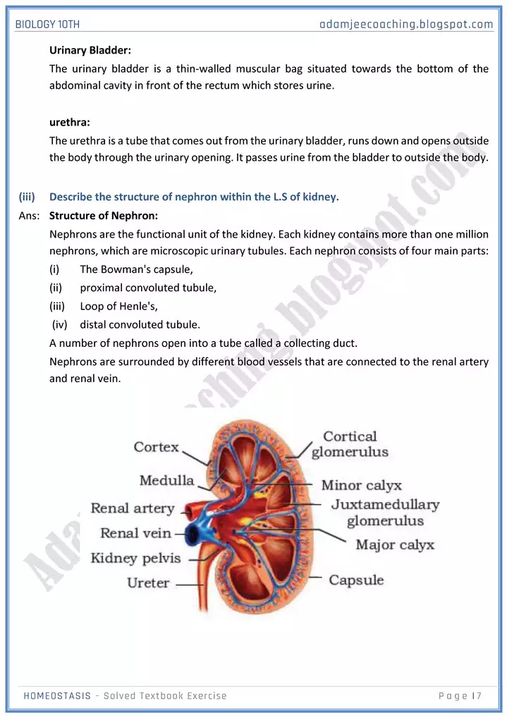 homeostasis-solved-textbook-exercise-biology-10th