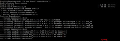 How To Install MongoDB 4