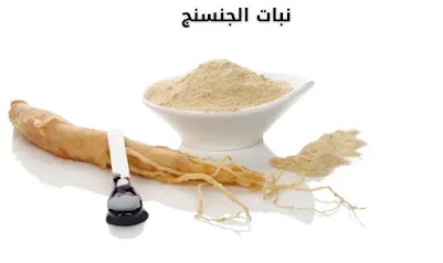 نبات الجنسنج