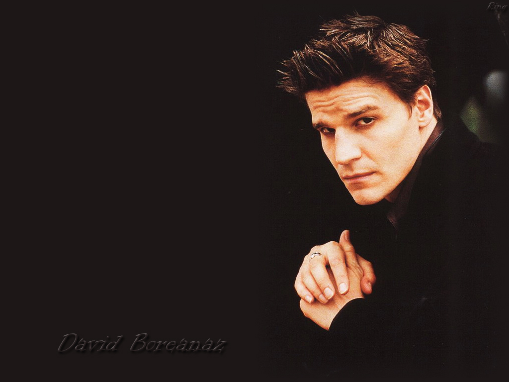 david boreanaz wallpaper