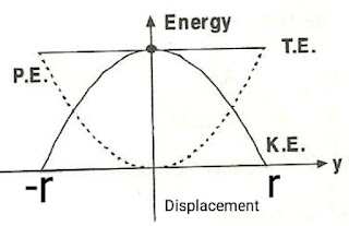 Variation of K.E and P.E in S.H.M