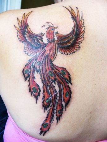 tatuagem fenix