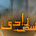 Aseer Zadi Episode 14  - 16th November 2013 on Hum TV