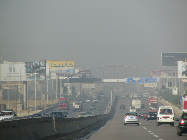 Smoggy Smog