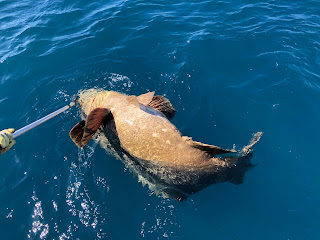 Fishing Florida's Forgotten Coast