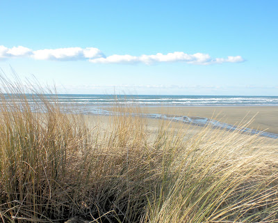 photo of the ocean taken at the wayside in Rockaway Beach Oregon