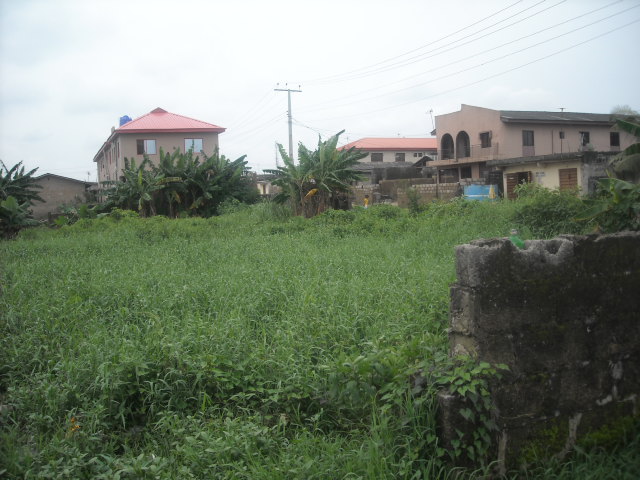 Lagosgist