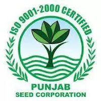 Punjab Seed Corporation Lahore Jobs 2022 - www.psc-agripunjab.gov.pk Jobs 2022 - www.jobs.punjab.gov.pk 2022