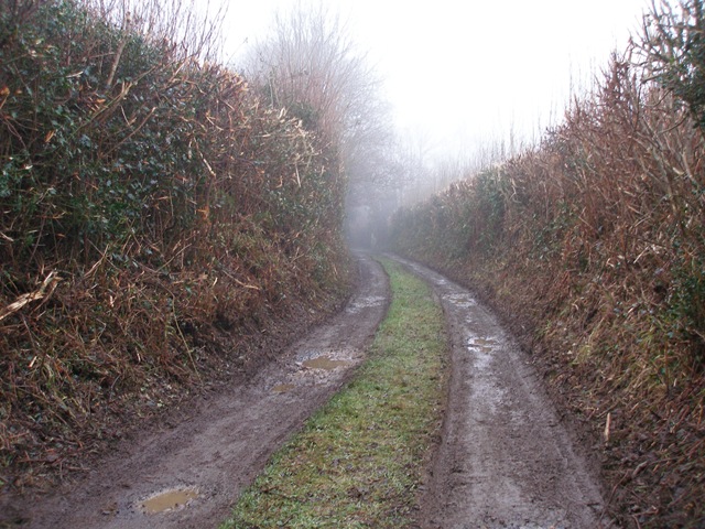 7th_february_2010