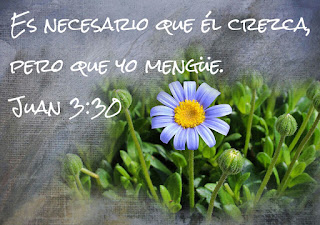 Crecer en la fe cristiana