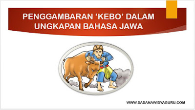 Kebo dalam Ungkapan Bahasa Jawa