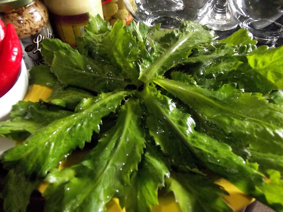 SABORES DA FLORESTA > CHICÓRIA TUCUJU