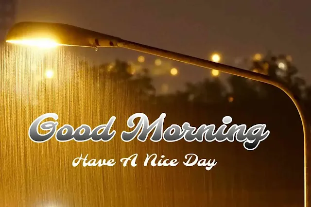 Good Morning Rain Image HD Pics for Whatsapp