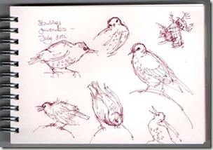 sketches 3 bg