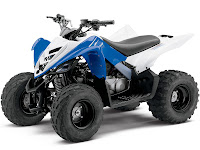 2013 Yamaha Raptor 90 ATV pictures 2