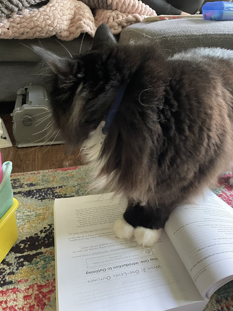 Moose standing on your writing book.