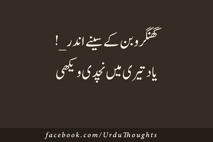 Urdu Quotes Two Line Love